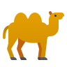 Camel