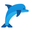 Dolphin